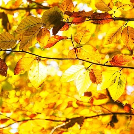 度假村 Czocha Palace&czocha - Or Czocha