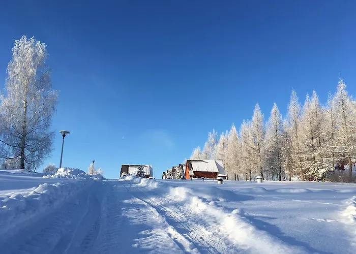 Czocha Palace&czocha - Or Czocha Leśna