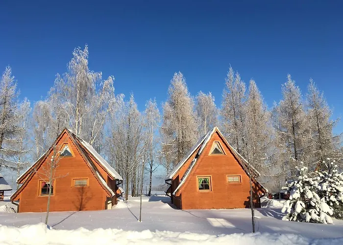 Czocha Palace&czocha - Or Czocha *